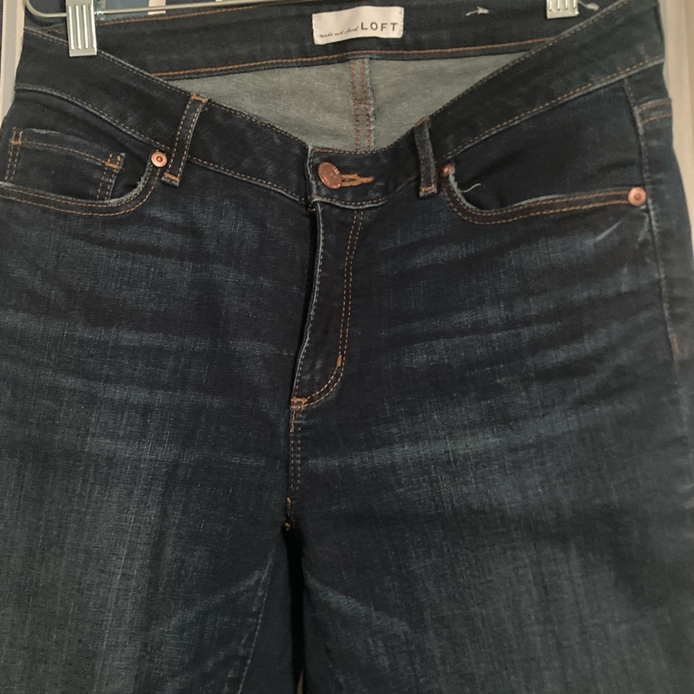 Classic dark wash curvy skinny Ann Taylor Loft Jeans - Size 8/29 Waist - worn 1x